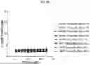 Fig. 33 - TRISPECIFIC PROTEINS AND METHODS OF USE