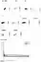 Fig. 23 - Therapeutic molecules