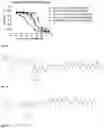 Fig. 32 - Therapeutic molecules