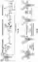 Fig. 04 - Bispecific antigen binding molecules that bind HER2, and methods of use thereof