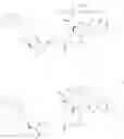 Fig. 114 - Bispecific antigen binding molecules that bind HER2, and methods of use thereof