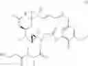 Fig. 115 - Bispecific antigen binding molecules that bind HER2, and methods of use thereof