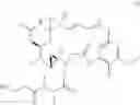 Fig. 117 - Bispecific antigen binding molecules that bind HER2, and methods of use thereof