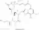 Fig. 125 - Bispecific antigen binding molecules that bind HER2, and methods of use thereof