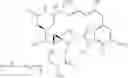 Fig. 31 - Bispecific antigen binding molecules that bind HER2, and methods of use thereof