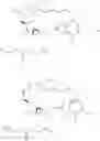 Fig. 32 - Bispecific antigen binding molecules that bind HER2, and methods of use thereof