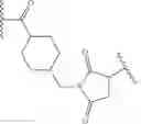 Fig. 61 - Bispecific antigen binding molecules that bind HER2, and methods of use thereof