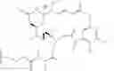 Fig. 66 - Bispecific antigen binding molecules that bind HER2, and methods of use thereof
