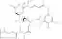 Fig. 67 - Bispecific antigen binding molecules that bind HER2, and methods of use thereof