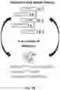 Fig. 03 - KRAS SPECIFIC ANTIBODIES AND USES THEREOF