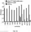 Fig. 04 - KRAS SPECIFIC ANTIBODIES AND USES THEREOF