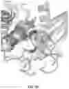 Fig. 26 - KRAS SPECIFIC ANTIBODIES AND USES THEREOF