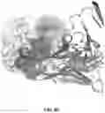 Fig. 28 - KRAS SPECIFIC ANTIBODIES AND USES THEREOF