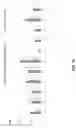 Fig. 32 - KRAS SPECIFIC ANTIBODIES AND USES THEREOF