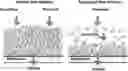 Fig. 01 - Method for Obtaining Low Molecular Weight Heparins by Tangential Flow Filtration