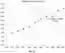 Fig. 08 - Method for Obtaining Low Molecular Weight Heparins by Tangential Flow Filtration