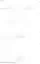 Fig. 36 - Thiol compound, method for synthesizing same, and uses for said thiol compound