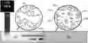 Fig. 01 - Method of light-promoted frontal ring-opening metathesis polymerization