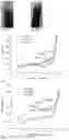 Fig. 05 - Disulfide-containing monomer, its reduced form, and its derivate, method to synthesize the same, and polymer containing the same