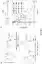Fig. 02 - Catalysts for ring opening polymerization