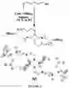 Fig. 04 - Catalysts for ring opening polymerization