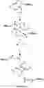 Fig. 05 - Catalysts for ring opening polymerization