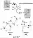 Fig. 08 - Catalysts for ring opening polymerization