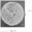 Fig. 17 - POLYMER FOAM ARTICLES AND METHODS OF MAKING POLYMER FOAMS