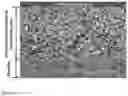 Fig. 09 - Size-reversing materials for reforming in cyclic flow reactors