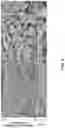 Fig. 10 - Size-reversing materials for reforming in cyclic flow reactors