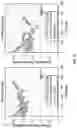 Fig. 11 - Size-reversing materials for reforming in cyclic flow reactors