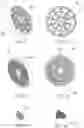 Fig. 08 - System and process for continuous production of contaminate free, size specific biochar following gasification