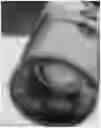 Fig. 01 - Method for the dissolution of amorphous dithiazines