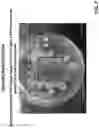 Fig. 08 - COMPOSITION, SYSTEM AND METHOD FOR TREATING STAINS AND ODORS