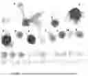 Fig. 02 - CLEANING COMPOSITION COMPRISING AN ALPHA-DIOXYGENASE