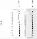 Fig. 06 - AUXOTROPHIC STRAINS OF STAPHYLOCOCCUS BACTERIUM