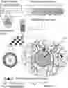 Fig. 01 - Frequency Controlled Mechanical Actuator with Microfluidic Flow for Generation of 3D Microgel for Cell Culturing