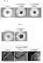 Fig. 05 - PRODUCTION METHOD FOR NERVE TISSUE