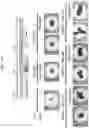Fig. 20 - PRODUCTION METHOD FOR NERVE TISSUE