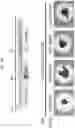 Fig. 25 - PRODUCTION METHOD FOR NERVE TISSUE