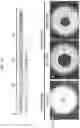 Fig. 31 - PRODUCTION METHOD FOR NERVE TISSUE