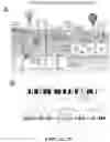 Fig. 03 - Universal donor stem cells and related methods