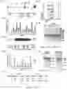 Fig. 114 - Universal donor stem cells and related methods