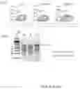 Fig. 133 - Universal donor stem cells and related methods