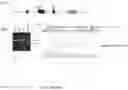 Fig. 134 - Universal donor stem cells and related methods
