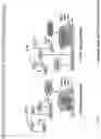 Fig. 14 - Universal donor stem cells and related methods
