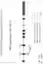 Fig. 36 - Universal donor stem cells and related methods
