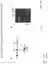 Fig. 38 - Universal donor stem cells and related methods