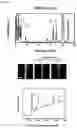 Fig. 05 - NANOCOIL-SUBSTRATE COMPLEX FOR CONTROLLING STEM CELL BEHAVIOR, PREPARATION METHOD THEREOF, AND METHOD OF CONTROLLING ADHESION AND DIFFERENTIATION OF STEM CELL BY USING THE SAME