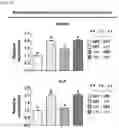 Fig. 21 - NANOCOIL-SUBSTRATE COMPLEX FOR CONTROLLING STEM CELL BEHAVIOR, PREPARATION METHOD THEREOF, AND METHOD OF CONTROLLING ADHESION AND DIFFERENTIATION OF STEM CELL BY USING THE SAME